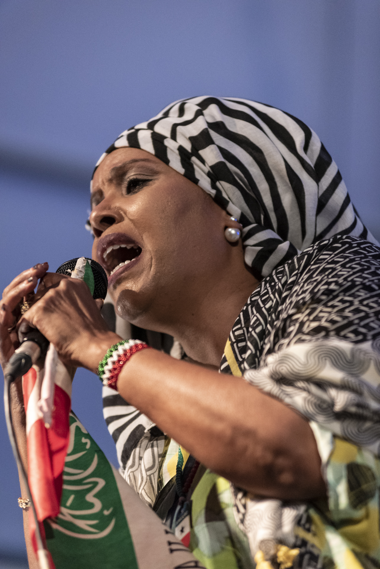 photo de concert au jardin des chartreux - Les Jeudis des musiques du monde