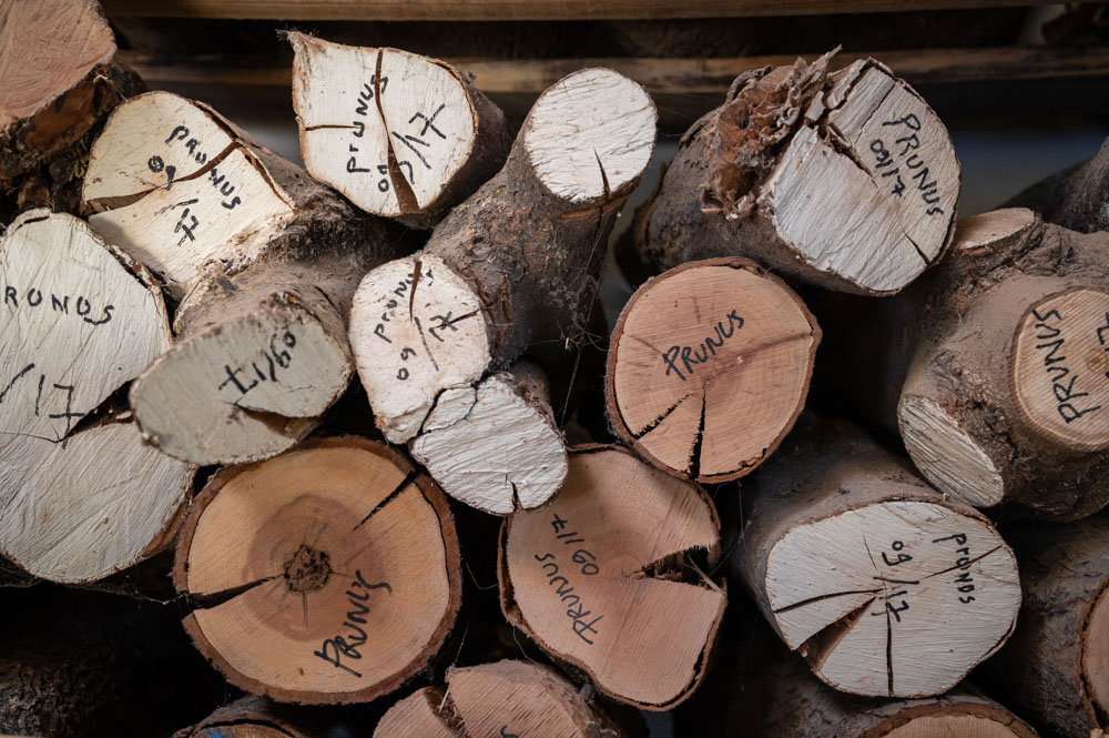 nom des essences de bois écrites sur la section de chaque morceau
