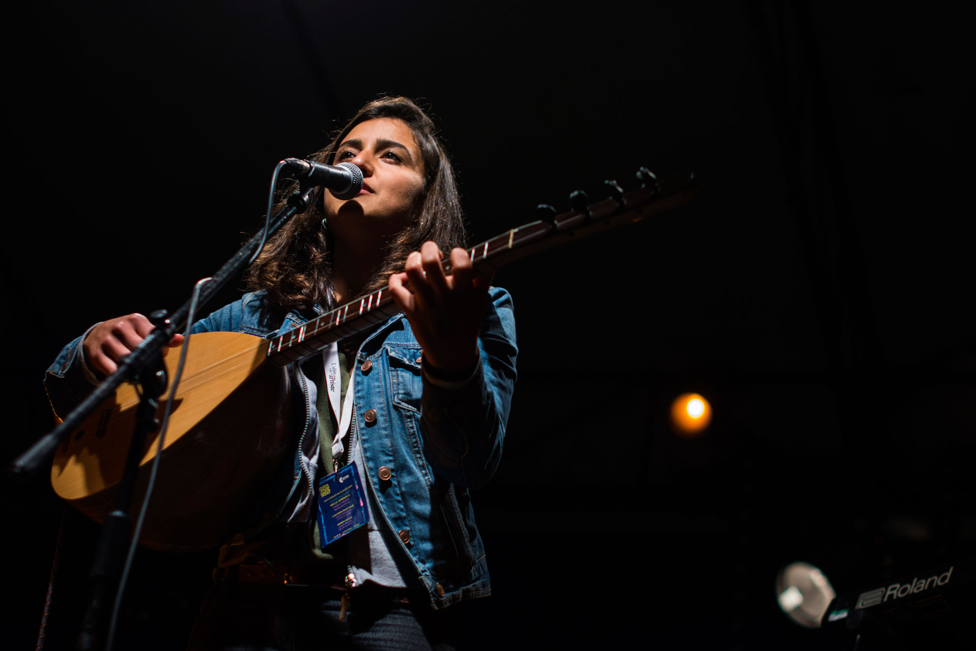 photo de concert au jardin des chartreux - Les Jeudis des musiques du monde