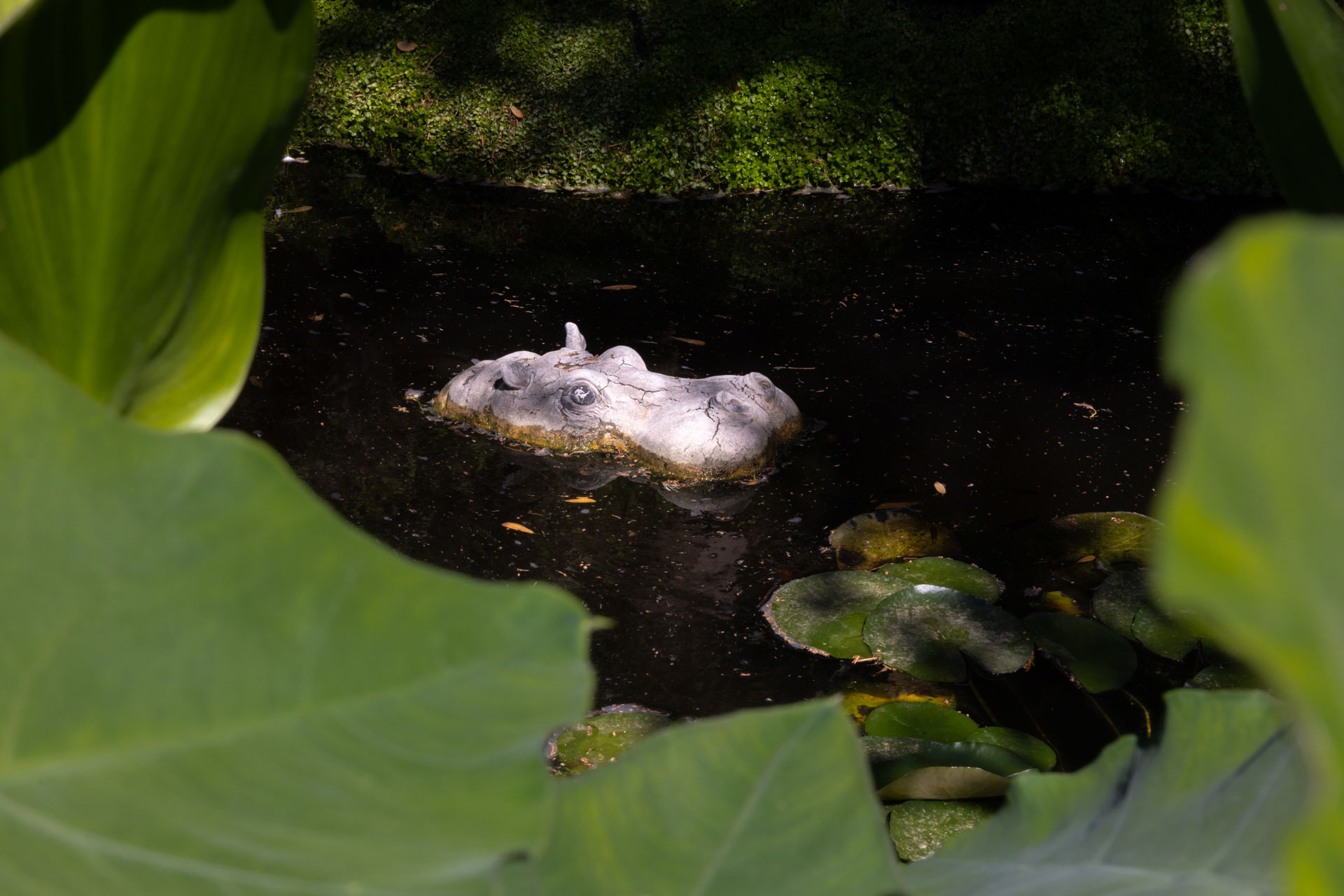 Photographie d'architecture d'une villa sur la côte d'azur