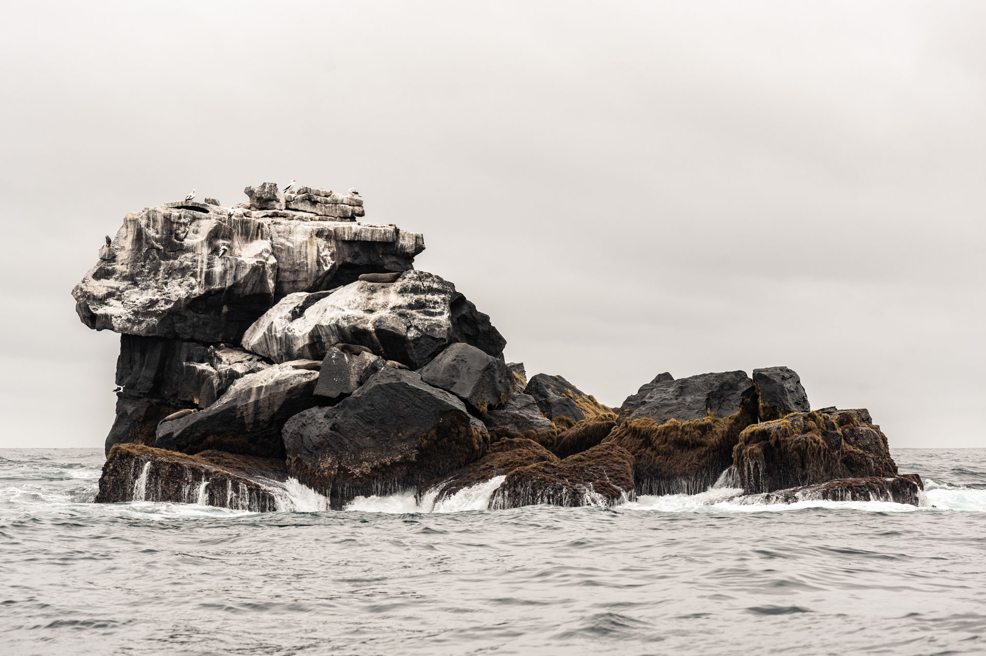 photo de paysage d'un ilet isolé au milieu de l'eau, iles Galapagos