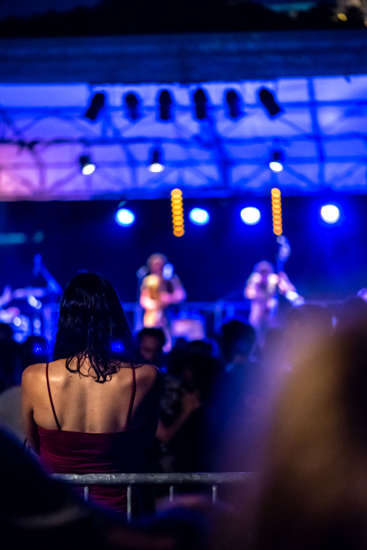photo de concert au jardin des chartreux - Les Jeudis des musiques du monde