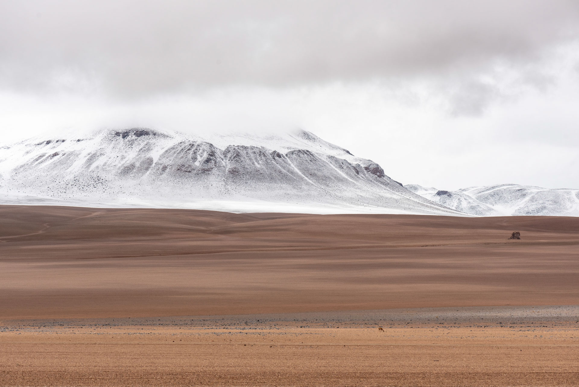 photo de paysage du désert de Dali, Sud Lipez, Bolivie