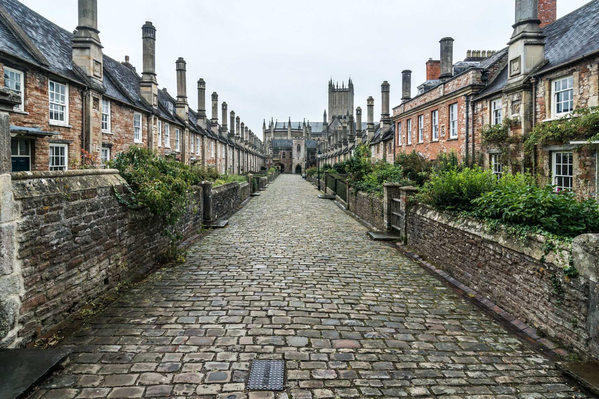 photo de paysage d'une allée résidentielle à Wells, UK
