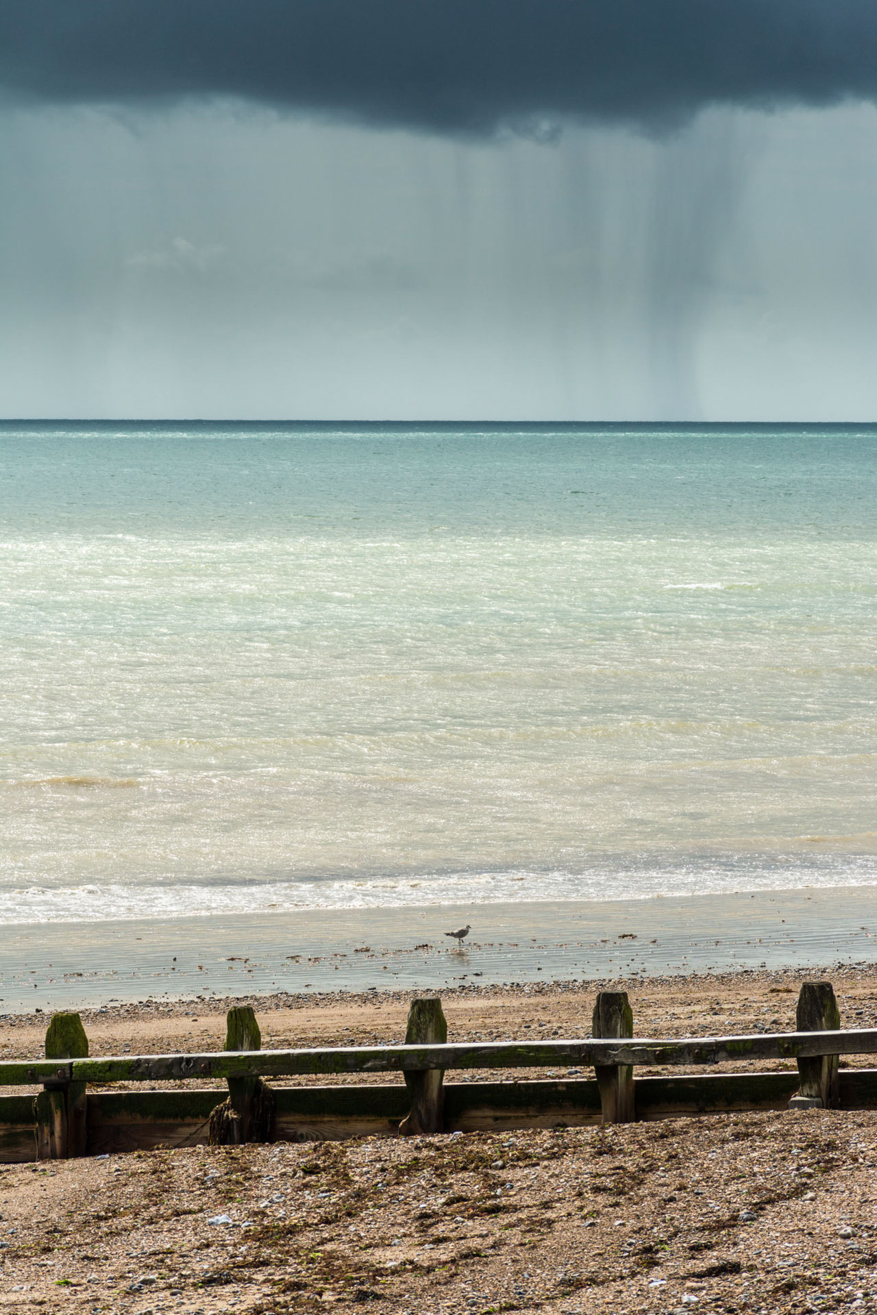 photo de paysage du grain sur la côte Britanique