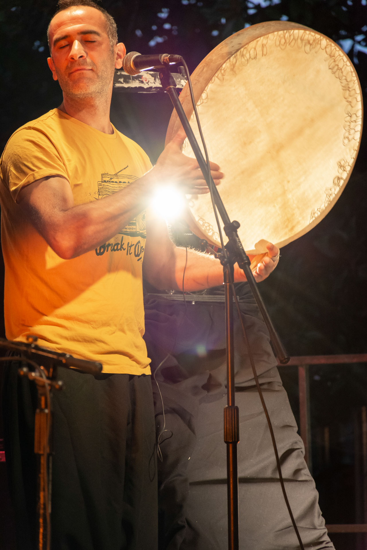 photo de concert au jardin des chartreux - Les Jeudis des musiques du monde