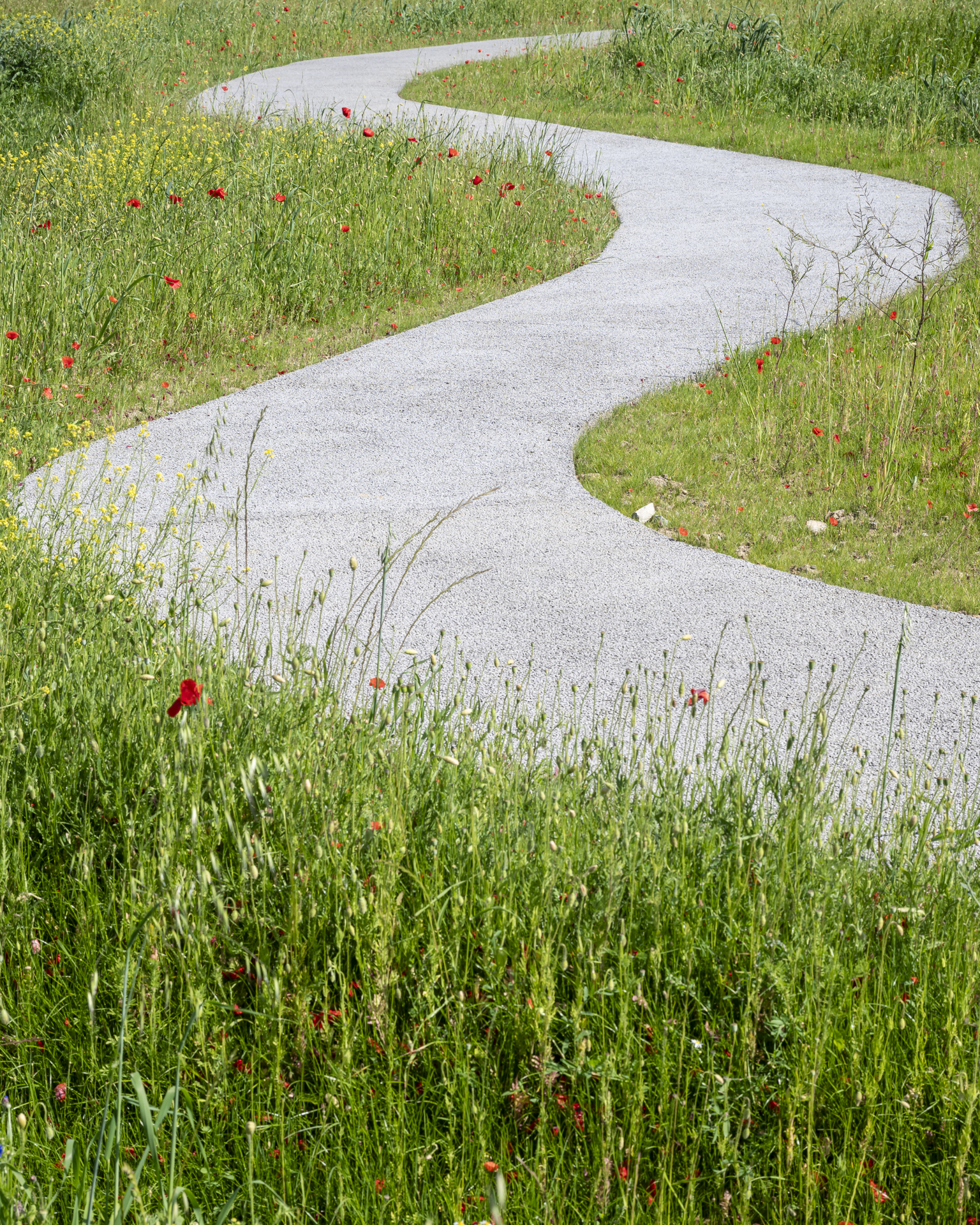 Nicolas Richard, photographie d'architecture du pôle gérontologique Paul Henri Chapuy à Vaulx-en-Velin